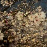 ヒメ日記 2026/03/30 21:42 投稿 多喜川とわ ミセス大阪十三店