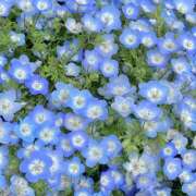 ヒメ日記 2025/06/07 11:29 投稿 せれな セレブクエスト-koshigaya-