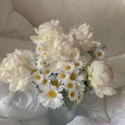 ヒメ日記 2025/08/01 09:08 投稿 莉沙(りさ) グランドオペラ横浜