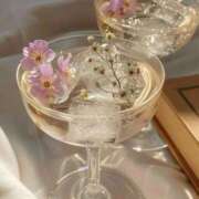 ヒメ日記 2025/08/12 09:21 投稿 莉沙(りさ) グランドオペラ横浜