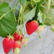 ヒメ日記 2025/08/27 20:10 投稿 莉沙(りさ) グランドオペラ横浜