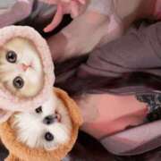 ヒメ日記 2026/02/11 21:16 投稿 すい べっぴんコレクション