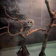 ヒメ日記 2025/05/22 17:10 投稿 【らこ】電マ大好き敏感美女♪ コーチと私と、ビート板･･･