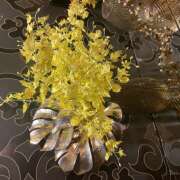 ヒメ日記 2025/07/16 08:31 投稿 しおり 人妻恋愛サークル