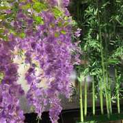 ヒメ日記 2025/08/04 09:23 投稿 しおり 人妻恋愛サークル