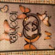 ヒメ日記 2025/09/08 08:59 投稿 しおり 人妻恋愛サークル