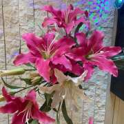 ヒメ日記 2025/10/07 23:31 投稿 しおり 人妻恋愛サークル