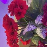 ヒメ日記 2025/10/20 16:10 投稿 しおり 人妻恋愛サークル