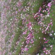 ヒメ日記 2025/10/27 09:20 投稿 しおり 人妻恋愛サークル