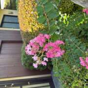 しおり おはよう御座います🥰 人妻恋愛サークル