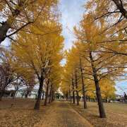 しおり おはよう御座います💕 人妻恋愛サークル