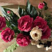 ヒメ日記 2026/01/19 09:11 投稿 しおり 人妻恋愛サークル