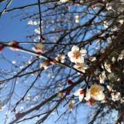 ヒメ日記 2026/02/25 09:49 投稿 しおり 人妻恋愛サークル