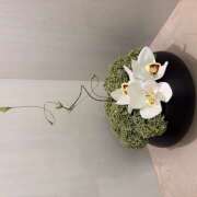 しおり おはよう御座います🥰 人妻恋愛サークル