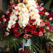 しおり 1番好きなお花🌸 人妻恋愛サークル