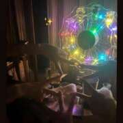 ヒメ日記 2025/11/03 21:45 投稿 あやの MINT（ミント）