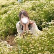 ヒメ日記 2025/07/19 09:03 投稿 ゆな ごほうびSPA上野店