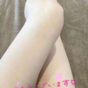 ヒメ日記 2025/12/23 11:27 投稿 まいこ♡癒され度バツグン♡ 俺のシンデレラ