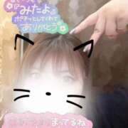 ヒメ日記 2025/07/22 11:09 投稿 せり 丸妻 横浜本店