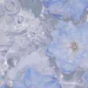 ヒメ日記 2025/08/30 17:00 投稿 せり 丸妻 横浜本店