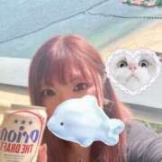 ヒメ日記 2025/09/21 20:15 投稿 せり 丸妻 横浜本店