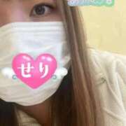 せり 昨日のお礼と次回のお知らせ✨ 丸妻 横浜本店