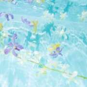 せり 急なお休みのお詫び 丸妻 横浜本店