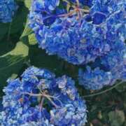 ヒメ日記 2025/06/08 08:50 投稿 中条 まりあ SUMIRE