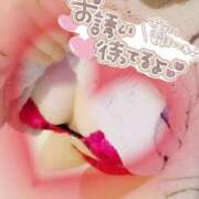 中条 まりあ シフト⋆˙⟡ SUMIRE