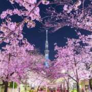 ヒメ日記 2026/04/06 19:42 投稿 中条 まりあ SUMIRE