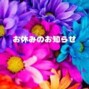 ヒメ日記 2025/05/22 17:24 投稿 冬野 せな SUMIRE