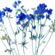 ヒメ日記 2025/05/16 19:55 投稿 坂口　えり ホットポイントヴィラ