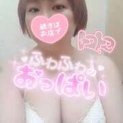 ヒメ日記 2025/08/18 19:36 投稿 のの シネマ