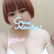 ヒメ日記 2025/08/20 20:20 投稿 のの シネマ