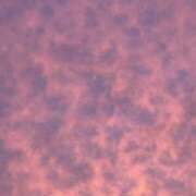 ヒメ日記 2025/10/10 21:37 投稿 かなで banana