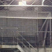 ヒメ日記 2025/11/16 21:25 投稿 かなで banana