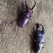 ヒメ日記 2025/08/21 15:54 投稿 武田 まゆみ ベストマダム