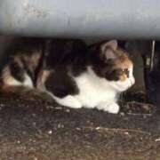 ヒメ日記 2025/09/03 11:10 投稿 武田 まゆみ ベストマダム