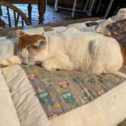 ヒメ日記 2025/10/10 08:28 投稿 武田 まゆみ ベストマダム