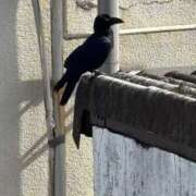 ヒメ日記 2025/10/28 11:45 投稿 武田 まゆみ ベストマダム