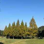 ヒメ日記 2025/10/31 14:54 投稿 武田 まゆみ ベストマダム