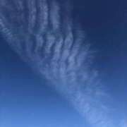 ヒメ日記 2025/11/14 11:05 投稿 武田 まゆみ ベストマダム