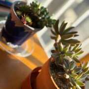 ヒメ日記 2025/11/20 14:11 投稿 武田 まゆみ ベストマダム