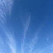 ヒメ日記 2025/11/26 10:48 投稿 武田 まゆみ ベストマダム