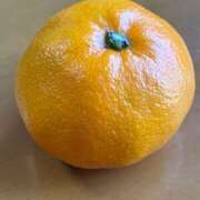 ヒメ日記 2025/11/27 11:22 投稿 武田 まゆみ ベストマダム