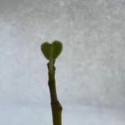 ヒメ日記 2025/12/01 08:02 投稿 武田 まゆみ ベストマダム