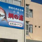 ヒメ日記 2025/12/01 13:01 投稿 武田 まゆみ ベストマダム