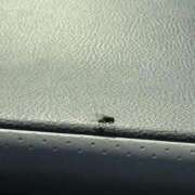 ヒメ日記 2025/12/09 11:56 投稿 武田 まゆみ ベストマダム