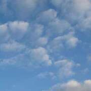 ヒメ日記 2025/12/13 08:02 投稿 武田 まゆみ ベストマダム