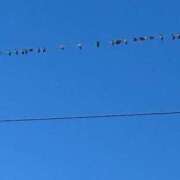 ヒメ日記 2025/12/29 09:38 投稿 武田 まゆみ ベストマダム